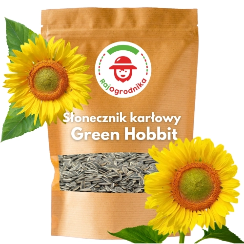 Słonecznik NISKI Green Hobbit Ozdobny na kwiat cięty 1000g ARiMR DOTACJA