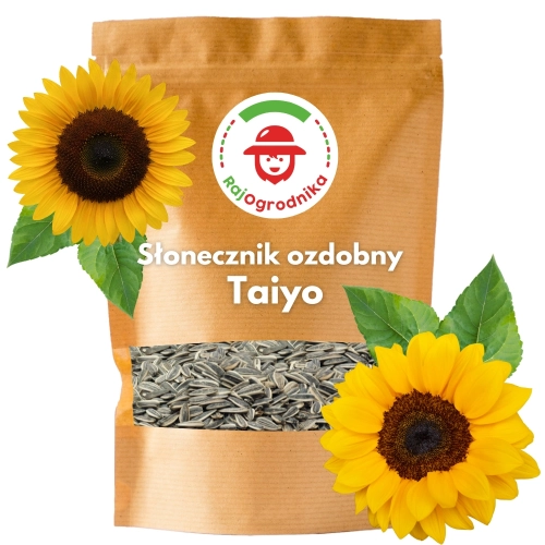 Słonecznik TAIYO Wysoki Ozdobny na kwiat cięty 1000g ARiMR DOTACJA