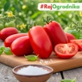 Pomidor gruntowy San Marzano nasiona włoskie ekologiczne 0,4 g - Bavicchi
