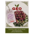 Sałata liściowa Red Salad Bowl nasiona włoskie ekologiczne 1,5g - Bavicchi