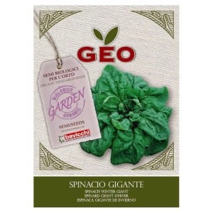 Szpinak Winter Giant nasiona włoskie ekologiczne 10g - Bavicchi