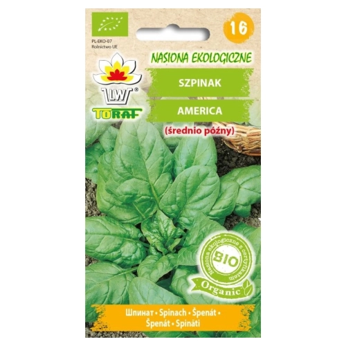 Bio Szpinak America nasiona 10g - TORAF
