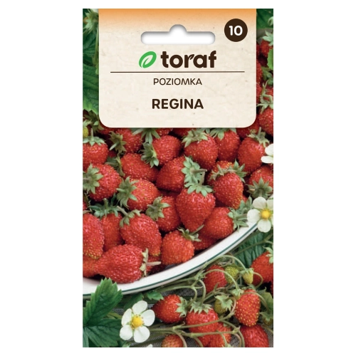 Poziomka Regina wielkoowocowa nasiona 0,1g - TORAF