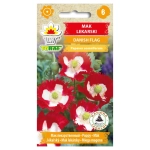 Mak lekarski Danish Flag dwubarwne kwiaty nasiona 0,5g - TORAF