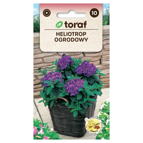 Heliotrop ogrodowy nasiona 0,1g - TORAF