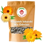 Nagietek lekarski Mix odmian roślina miododajna nasiona 100g - REDUM