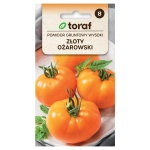 Pomidor gruntowy wysoki Złoty Ożarowski nasiona 0,3g - TORAF