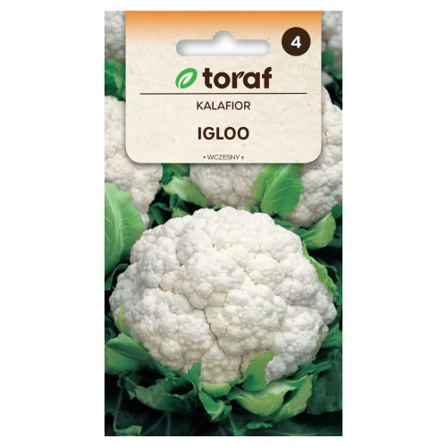 Kalafior wczesny Igloo nasiona 1g - TORAF