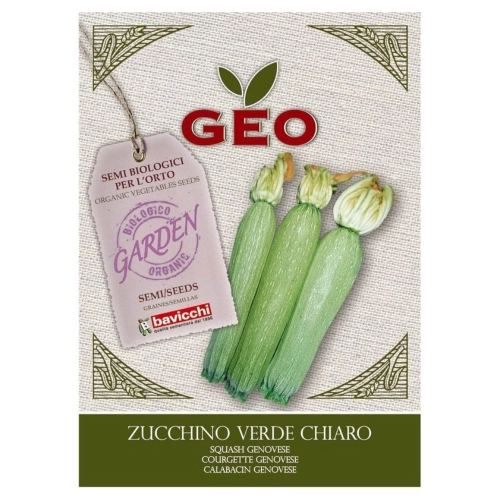 Cukinia jasnozielona nasiona włoskie ekologiczne 5g - Bavicchi
