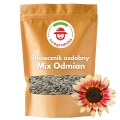Słonecznik MIX ODMIAN dotacja ARiMR nasiona ozdobny na kwiat cięty WYSOKI 1kg