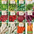 Zestaw nasion warzyw na taśmie 11 szt. + 1 szt. do uprawy w ogrodzie 