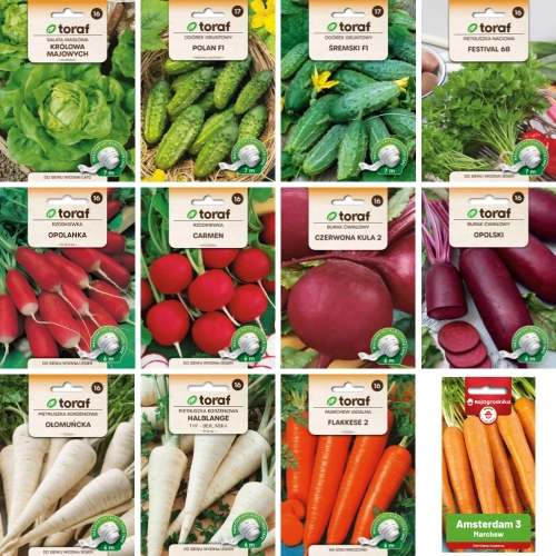 Zestaw nasion warzyw na taśmie 11 szt. + 1 szt. do uprawy w ogrodzie 