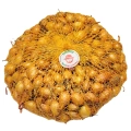Cebula Dymka KRISTINE wczesna do sadzenia 500g PL wiosenna