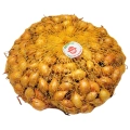 Cebula Dymka KRISTINE wczesna do sadzenia 500g PL wiosenna