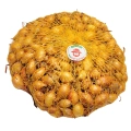 Cebula Dymka KRISTINE wczesna do sadzenia 500g PL wiosenna