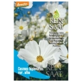 Onętek Kosmos biały duże kwiaty nasiona 0,6g - ReinSaat