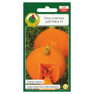 Dynia olbrzymia Justynka F1 nasiona 2g - PNOS