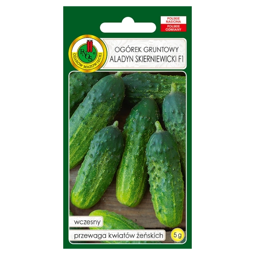 Ogórek gruntowy Aladyn Skierniewicki F1 nasiona 5g - PNOS