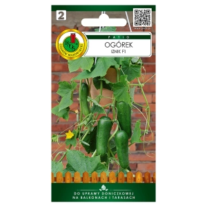 Ogórek Iznik F1 do uprawy doniczkowej nasiona 10 nasion - PNOS