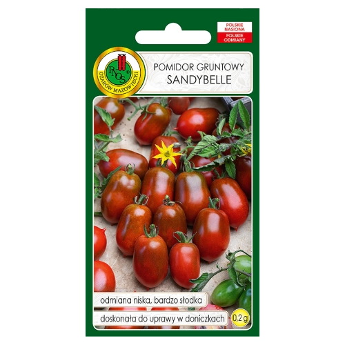 Pomidor gruntowy Sandybelle nasiona 0,2g - PNOS