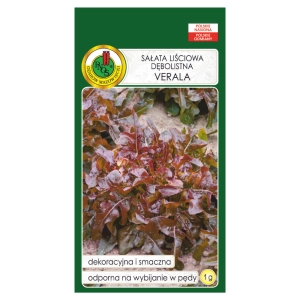 Sałata liściowa dębolistna Verala nasiona 1g - PNOS