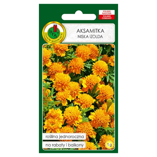 Aksamitka pełna niska Izolda brzoskwiniowo-pomarańczowa nasiona 1g - PNOS