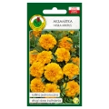 Aksamitka pełna niska Mikrus pomarańczowa nasiona 1g - PNOS