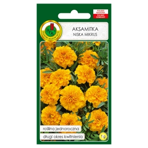 Aksamitka pełna niska Mikrus pomarańczowa nasiona 1g - PNOS