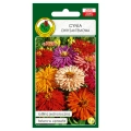 Cynia chryzantemowa mieszana nasiona 1g - PNOS