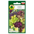 Koleus Blumego mieszany nasiona 0,1g - PNOS