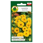 Nagietek Bull's Eye nasiona 0,5g - PNOS
