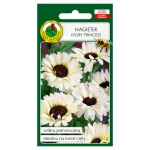 Nagietek Ivory Princess nasiona 0,5g - PNOS