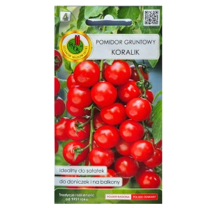 Pomidor gruntowy koktajlowy Koralik nasiona 0,5g - PNOS