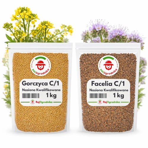 Zestaw poplonowy fitosanitarny gorczyca biała + facelia błękitna nasiona kwalifikowane do ogrodu 2 kg