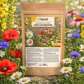 Łąka kwietna Mieszanka bylinowa Long Life Meadow nasiona 100g