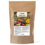 Łąka kwietna Mieszanka Kwiatów Express Łączka nasiona 500g - TORAF