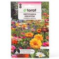 Łąka kwietna Mieszanka Kwiatów Express Łączka nasiona 20g - TORAF