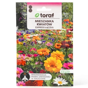 Łąka kwietna Mieszanka Kwiatów Express Łączka nasiona 20g - TORAF