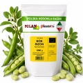 Bób Bizon nasiona 1000g - PlantiCo