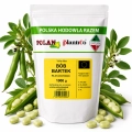 Bób Bartek nasiona 1000g - PlantiCo