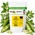 Bób Bachus nasiona 1000g - PlantiCo