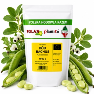 Bób Bachus nasiona 1000g - PlantiCo