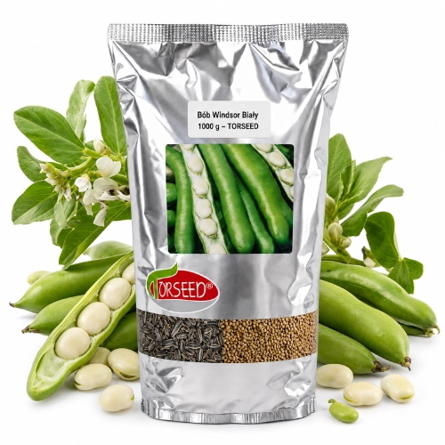 Bób Windsor Biały TOR nasiona 1kg - TORSEED