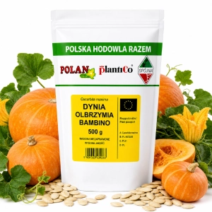 Dynia olbrzymia Bambino nasiona 500g - PlantiCo