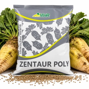 Burak Pastewny Zentaur Poly Cyklop C/1 nasiona 500g 