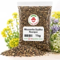 Mieszanka Szybko Rosnąca Poplon NR1 nasiona 1kg - RajOgrodnika
