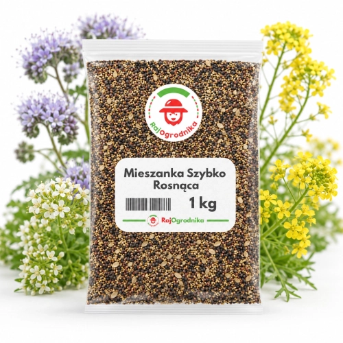 Mieszanka Szybko Rosnąca Poplon NR1 nasiona 1kg - RajOgrodnika