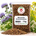 Mieszanka Zrównoważona Poplon NR2 nasiona 1kg - RajOgrodnika