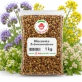 Mieszanka Zrównoważona Poplon NR2 nasiona 1kg - RajOgrodnika