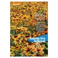 Rudbeckia hirta Sonnenhut Herbstwald o pięknych kwiatach nasiona 0,1g - ReinSaat